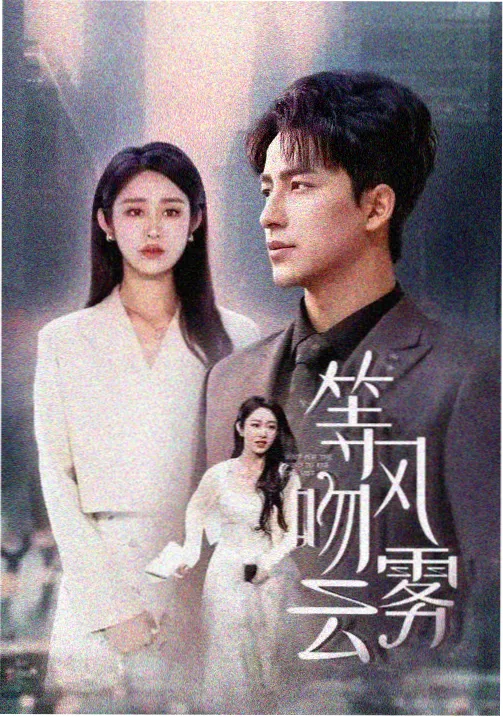 完播留存口径第二名剧集标本封面