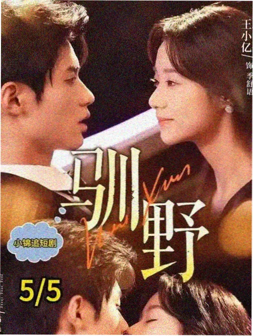 复看意愿口径第五名剧集标本封面